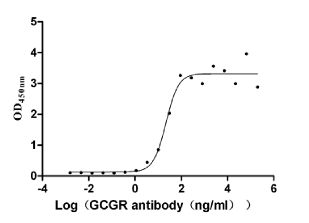 The Binding Activity of Human GCGR with Anti-GCGR recombinant antibody.. Activity: Measured by its binding ability in a functional ELISA. Immobilized Human GCGR (CSB-MP009316HU1) at 2 μg/mL can bind Anti-GCGR recombinant antibody, the EC<sub>50</sub> is 14.57-32.56 ng/mL.