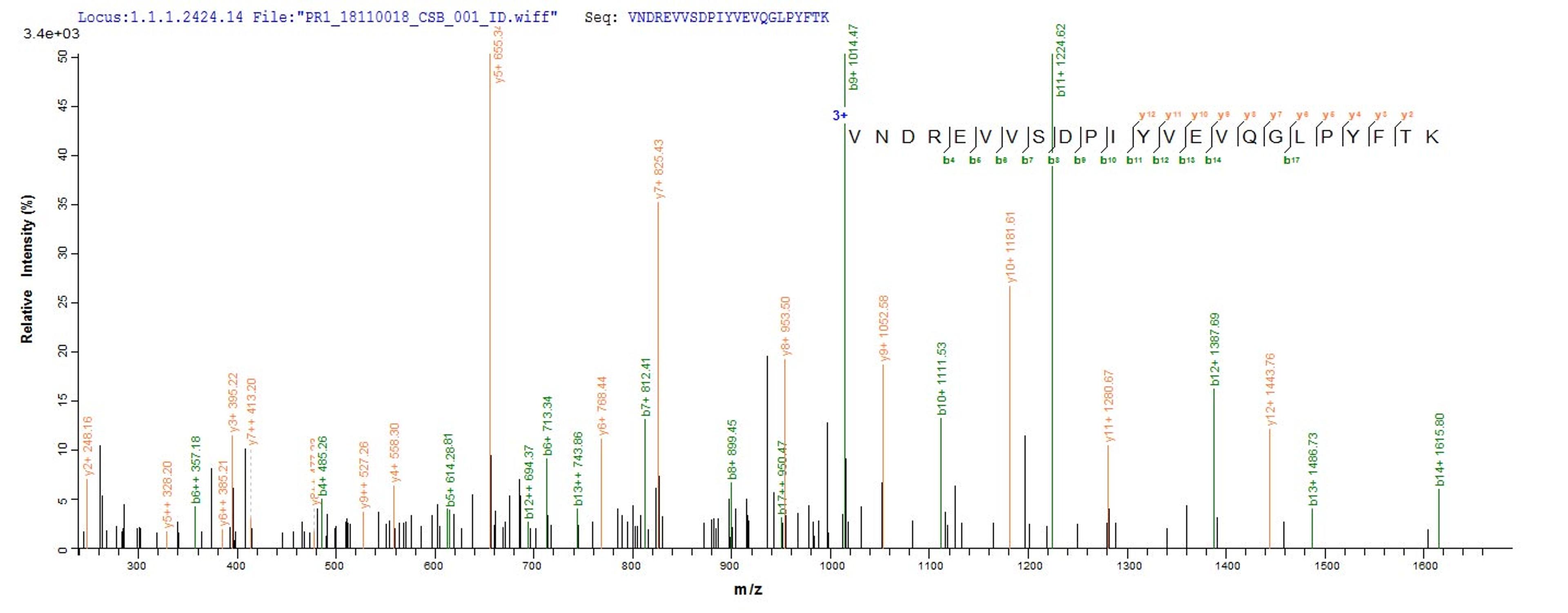Based on the SEQUEST from database of Mammalian Cell host and target protein, the LC-MS/MS Analysis result of CSB-MP013706RA could indicate that this peptide derived from Mammalian Cell-expressed Rattus norvegicus (Rat) Mertk.