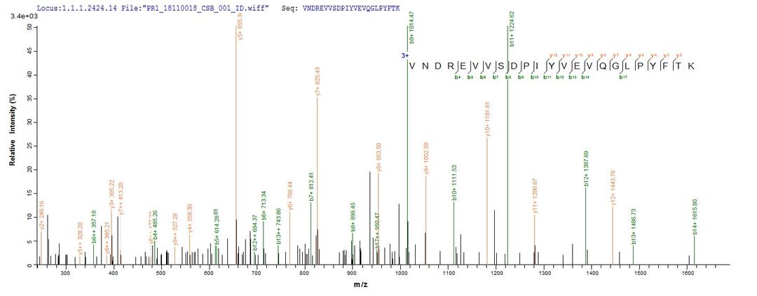 Based on the SEQUEST from database of Mammalian Cell host and target protein, the LC-MS/MS Analysis result of CSB-MP013706RA could indicate that this peptide derived from Mammalian Cell-expressed Rattus norvegicus (Rat) Mertk.