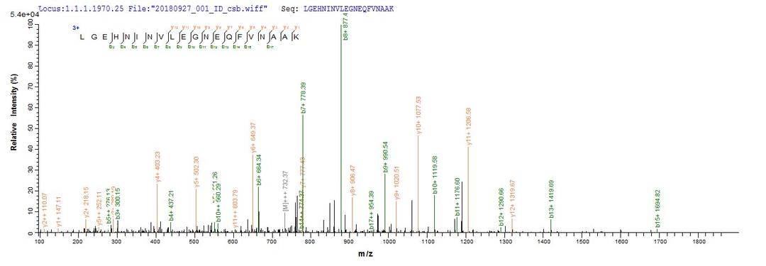 Based on the SEQUEST from database of Yeast host and target protein, the LC-MS/MS Analysis result of CSB-YP018814RA could indicate that this peptide derived from Yeast-expressed Rattus norvegicus (Rat) Prss2.