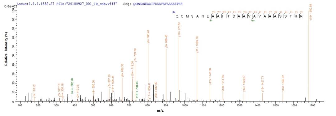 Based on the SEQUEST from database of Yeast host and target protein, the LC-MS/MS Analysis result of CSB-YP303065VAI could indicate that this peptide derived from Yeast-expressed Vaccinia virus (strain Western Reserve) (VACV) (Vaccinia virus (strain WR)) VACWR156.