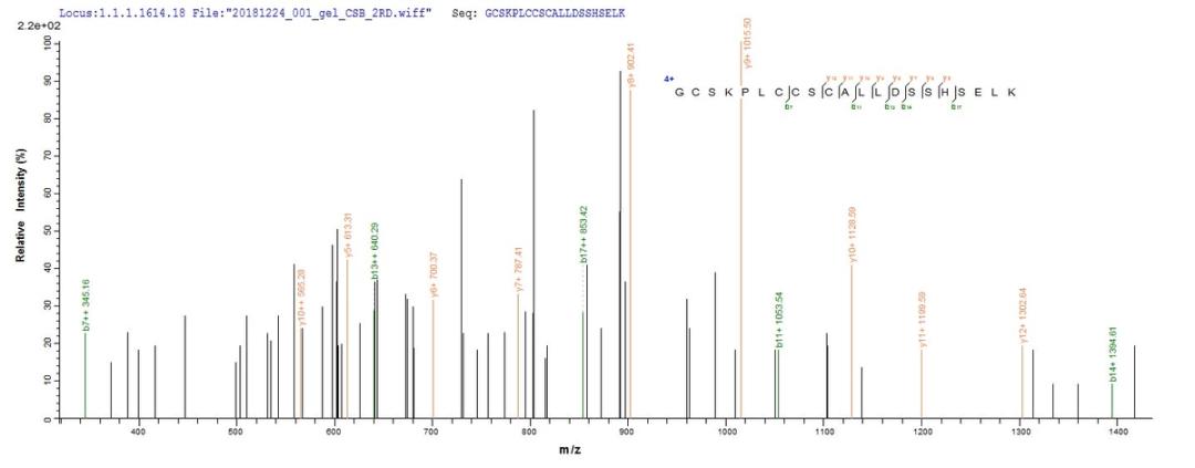 Based on the SEQUEST from database of E.coli host and target protein, the LC-MS/MS Analysis result of CSB-EP018236HU could indicate that this peptide derived from E.coli-expressed Homo sapiens (Human) PML.