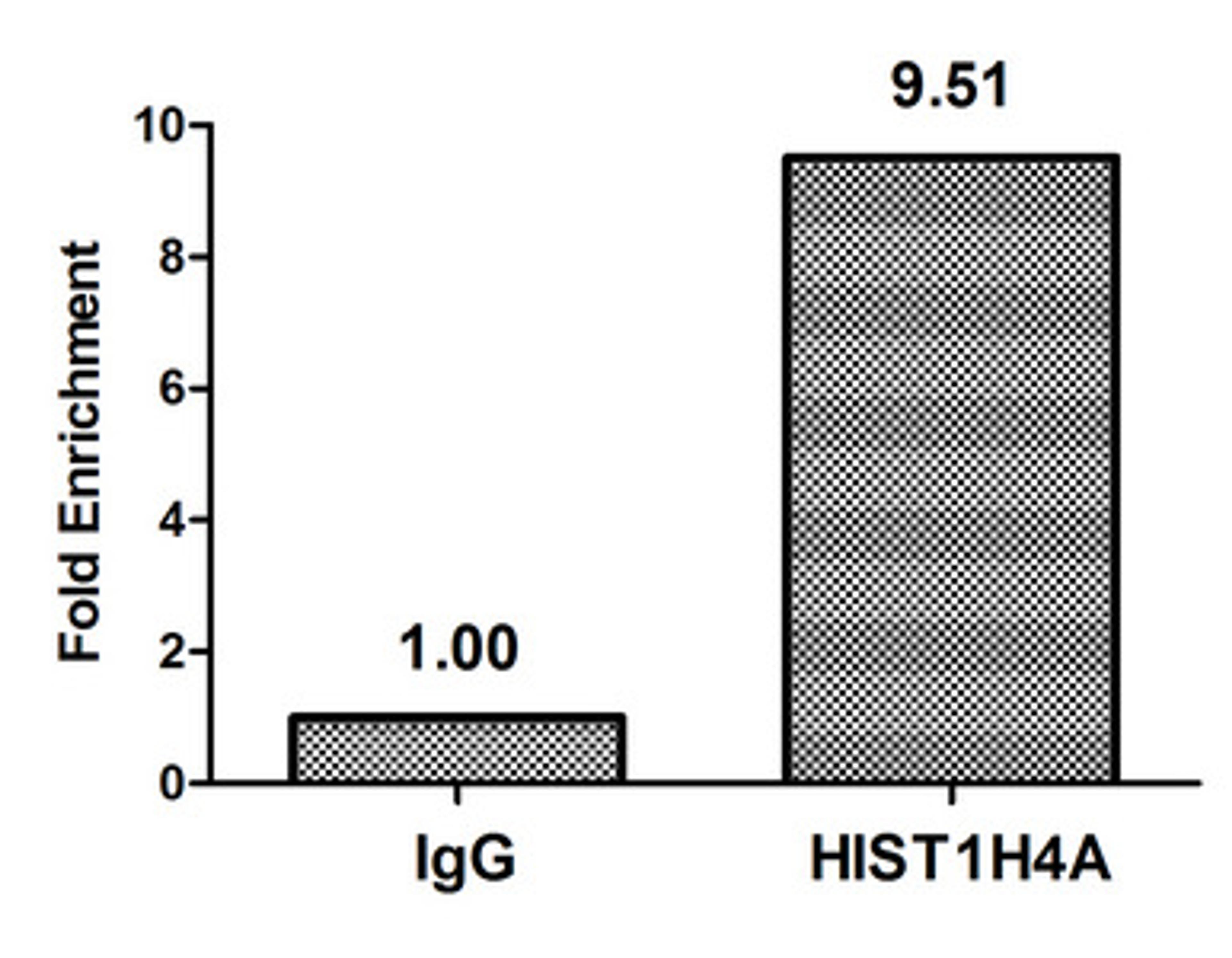 Chromatin Immunoprecipitation Hela (4*10<sup>6</sup>) were treated with Micrococcal Nuclease, sonicated, and immunoprecipitated with 8µg anti-HIST1H4A (CSB-PA010429PA05acHU) or a control normal rabbit IgG. The resulting ChIP DNA was quantified using real-time PCR with primers against the β-Globin promoter.
