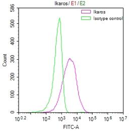 Overlay Peak curve showing Jurkat cells stained with CSB-RA266291A0HU (red line) at 1:50. The cells were fixed in 4% formaldehyde and permeated by 0.2% TritonX-100. Then 10% normal goat serum to block non-specific protein-protein interactions followed by the antibody (1µg/1*10<sup>6</sup>cells) for 45min at 4℃. The secondary antibody used was FITC-conjugated Goat Anti-rabbit IgG(H+L) at 1:200 dilution for 35min at 4℃.Control antibody (green line) was rabbit IgG (1µg/1*10<sup>6</sup>cells) used under the same conditions. Acquisition of >10,000 events was performed.