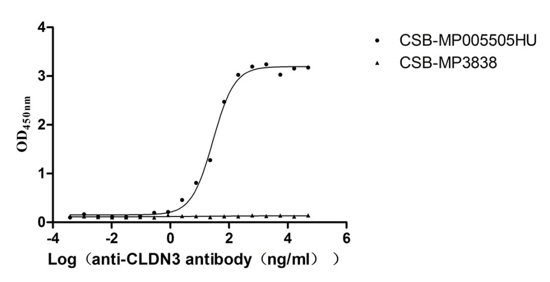 The Binding Activity of CLDN3 with Anti-CLDN3 recombinant antibody. Activity: Measured by its binding ability in a functional ELISA. Immobilized Human CLDN3 (CSB-MP005505HU) at 10 μg/mL can bind Anti-CLDN3 recombinant antibody, the EC<sub>50</sub> is 23.62-34.37 ng/mL.VLPs (CSB-MP3838) is negative control.