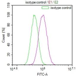 Overlay Peak curve showing PC3 cells stained with CSB-RA215817A0HU (red line) at 1:100. The cells were incubated in 10% normal goat serum to block non-specific protein-protein interactions followed by the antibody (1ug/1*10<sup>6</sup>cells) for 45min at 4℃. The secondary antibody used was FITC-conjugated Goat Anti-rabbit IgG(H+L) at 1:200 dilution for 35min at 4℃.Control antibody (green line) was rabbit IgG (1ug/1*10<sup>6</sup>cells) used under the same conditions. Acquisition of >10,000 events was performed.