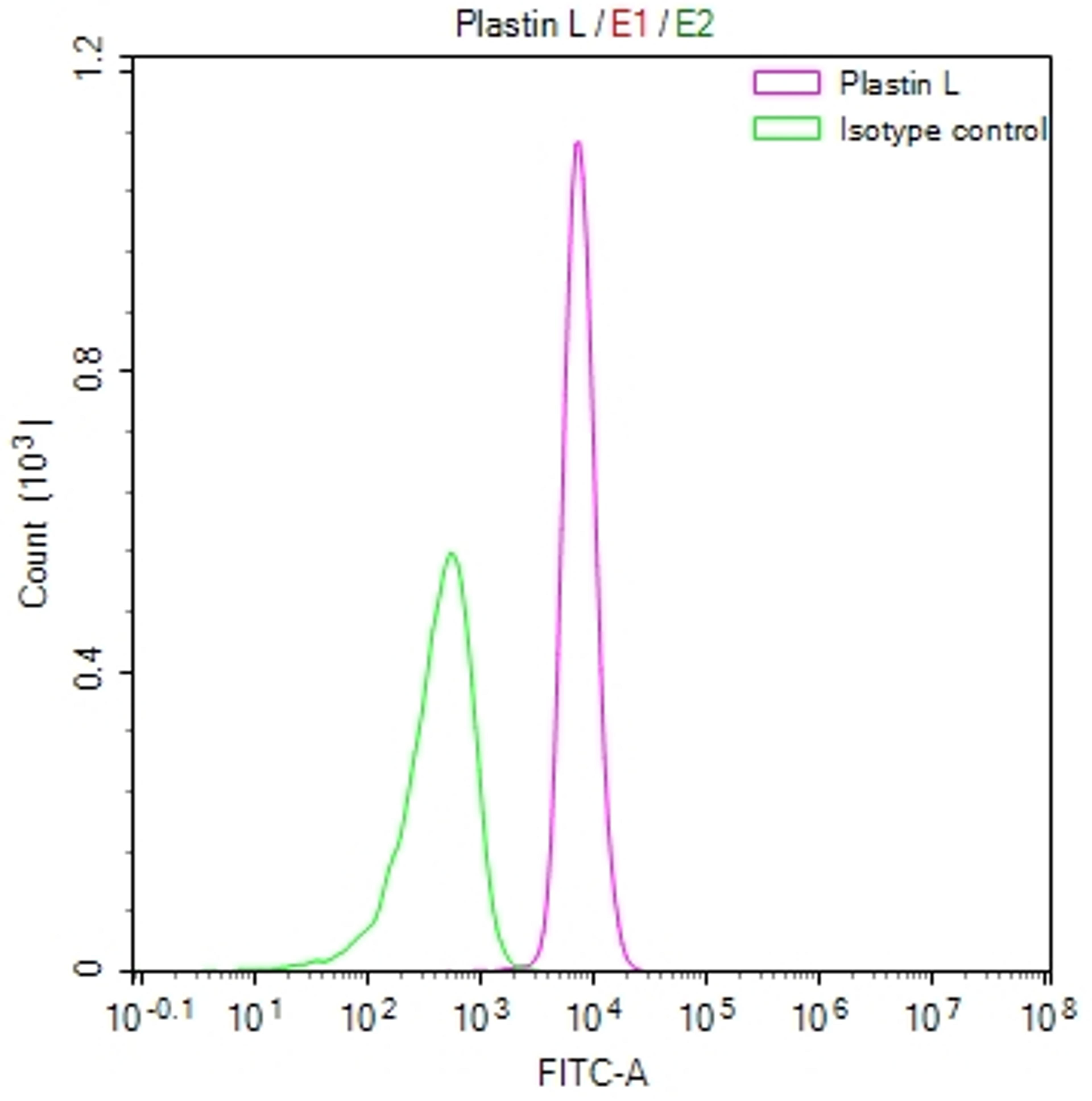 Overlay Peak curve showing RAJI cells stained with CSB-RA188599A0HU (red line) at 1:50. The cells were fixed in 4% formaldehyde and permeated by 0.2% TritonX-100. Then 10% normal goat serum to block non-specific protein-protein interactions followed by the antibody (1µg/1*10<sup>6</sup>cells) for 45min at 4℃. The secondary antibody used was FITC-conjugated Goat Anti-rabbit IgG(H+L) at 1:200 dilution for 35min at 4℃.Control antibody (green line) was rabbit IgG (1µg/1*10<sup>6</sup>cells) used under the same conditions. Acquisition of >10,000 events was performed.