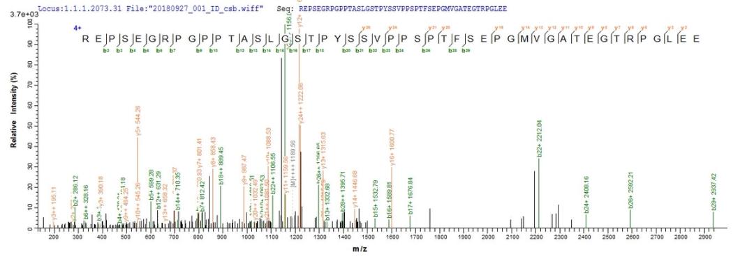 Based on the SEQUEST from database of E.coli host and target protein, the LC-MS/MS Analysis result of CSB-EP016086HU could indicate that this peptide derived from E.coli-expressed Homo sapiens (Human) NRL.