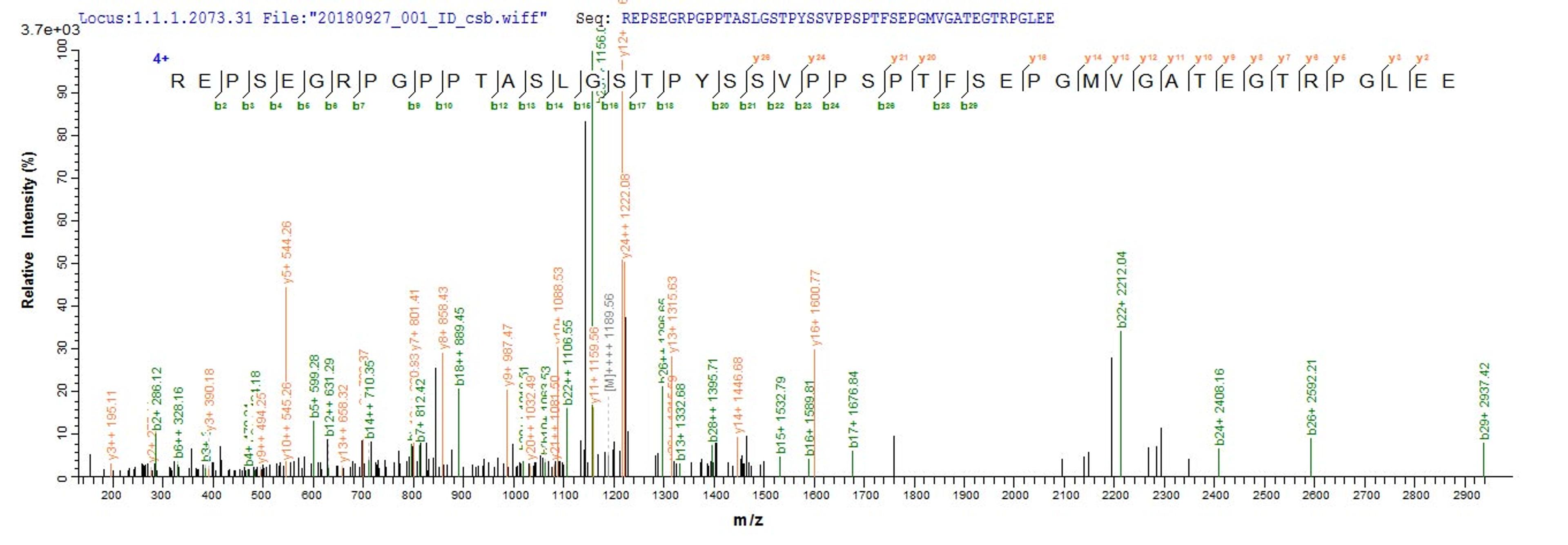 Based on the SEQUEST from database of E.coli host and target protein, the LC-MS/MS Analysis result of CSB-EP016086HU could indicate that this peptide derived from E.coli-expressed Homo sapiens (Human) NRL.