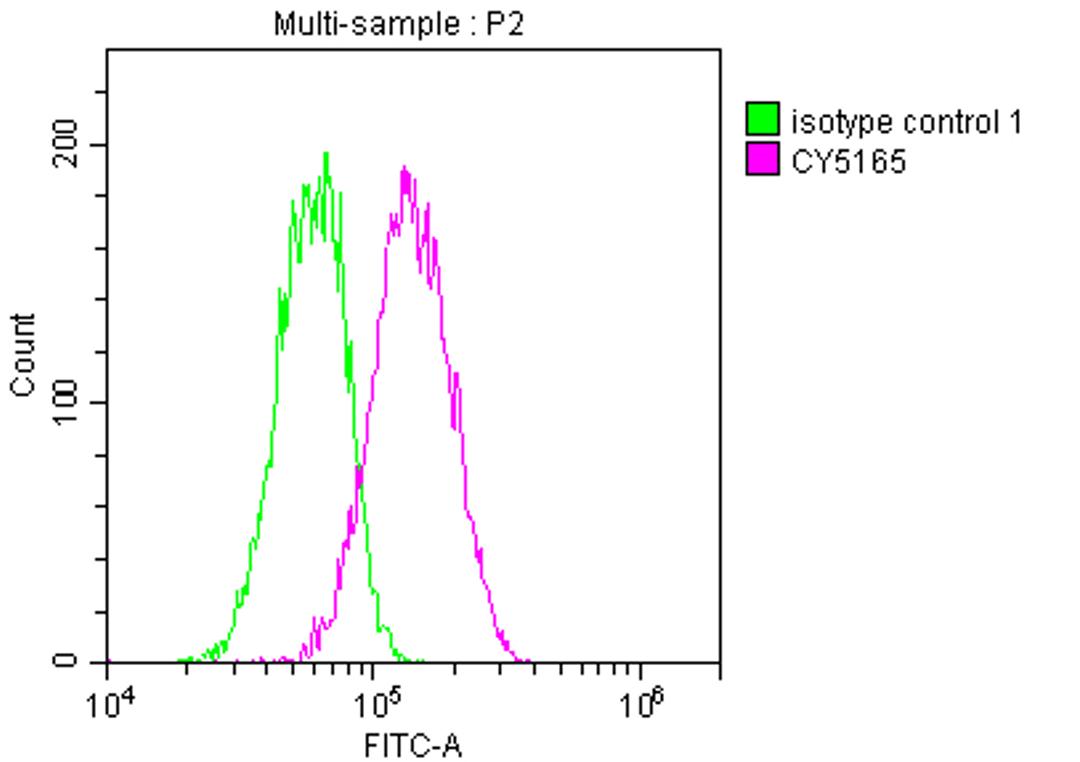 Overlay histogram showing Hela cells stained with CSB-RA546821A0HU (red line) at 1:50. The cells were fixed with 70% Ethylalcohol (18h) and then incubated in 10% normal goat serum to block non-specific protein-protein interactions followedby the antibody (1µg/1*10<sup>6</sup> cells) for 1 h at 4℃.The secondary antibody used was FITC-conjugated goat anti-rabbit IgG (H+L) at 1/200 dilution for 30min at 4℃. Control antibody (green line) was Rabbit IgG (1µg/1*10<sup>6</sup> cells) used under the same conditions. Acquisition of >10,000 events was performed.
