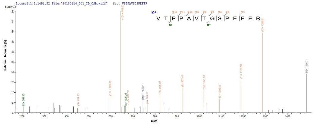 Based on the SEQUEST from database of E.coli host and target protein, the LC-MS/MS Analysis result of CSB-CF013792HU could indicate that this peptide derived from E.coli-expressed Recombinant Human Microsomal glutathione S-transferase 2(MGST2) MGST2.