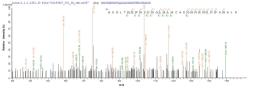 Based on the SEQUEST from database of E.coli host and target protein, the LC-MS/MS Analysis result of CSB-EP892322HU could indicate that this peptide derived from E.coli-expressed Homo sapiens (Human) METRN.