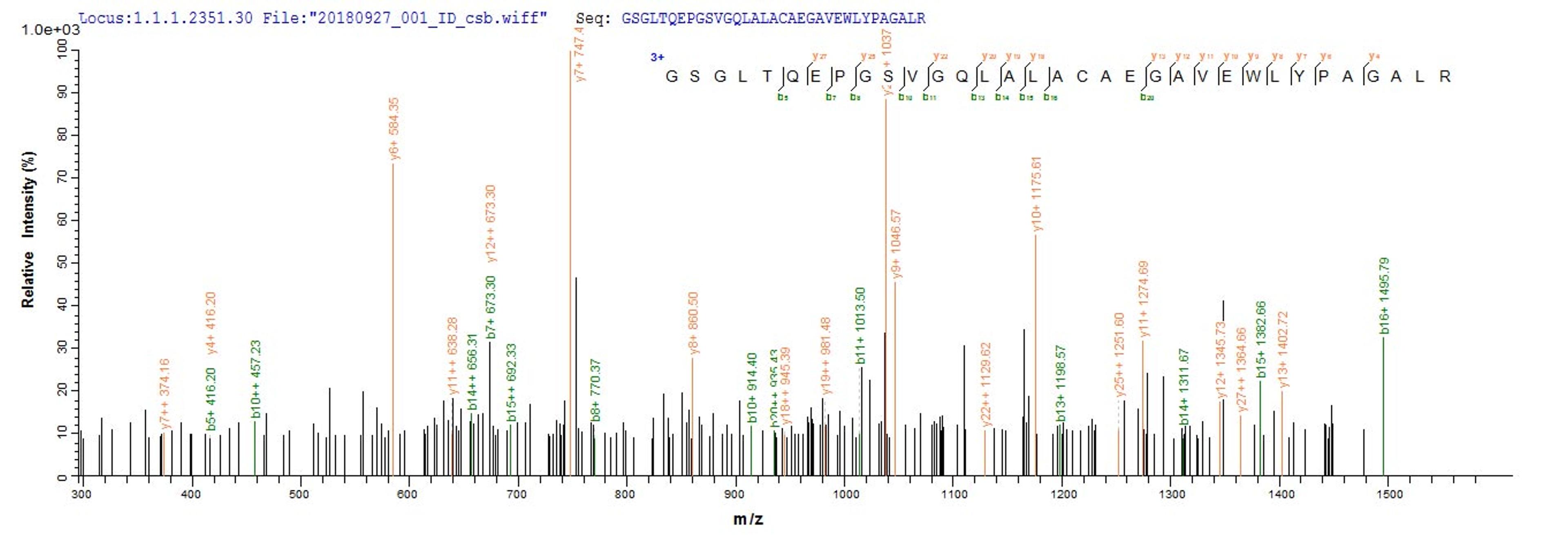 Based on the SEQUEST from database of E.coli host and target protein, the LC-MS/MS Analysis result of CSB-EP892322HU could indicate that this peptide derived from E.coli-expressed Homo sapiens (Human) METRN.