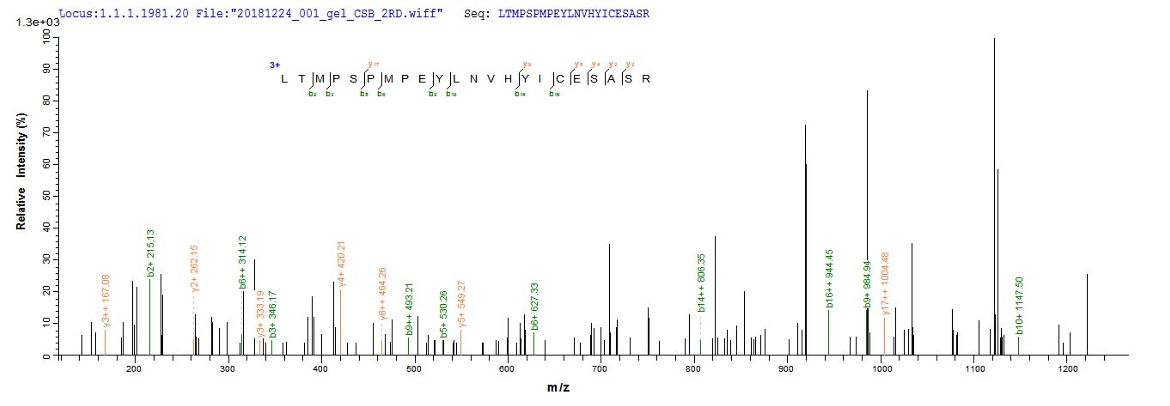 Based on the SEQUEST from database of E.coli host and target protein, the LC-MS/MS Analysis result of CSB-EP016052HU1 could indicate that this peptide derived from E.coli-expressed Homo sapiens (Human) Nr2c2.