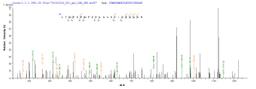 Based on the SEQUEST from database of E.coli host and target protein, the LC-MS/MS Analysis result of CSB-EP016052HU1 could indicate that this peptide derived from E.coli-expressed Homo sapiens (Human) Nr2c2.