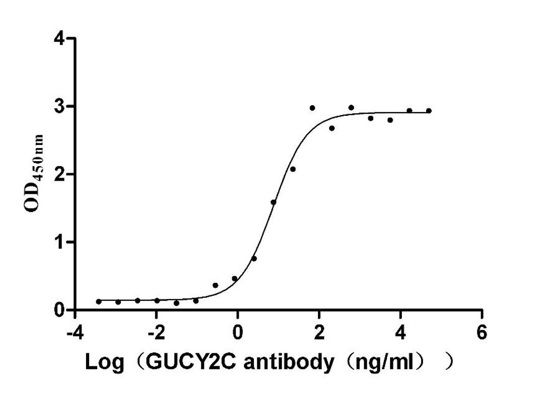 The Binding Activity of Human GUCY2C with Anti-GUCY2C recombinant antibody. Activity: Measured by its binding ability in a functional ELISA. Immobilized Human GUCY2C (CSB-MP010053HU) at 5 μg/mL can bind Anti-GUCY2C recombinant antibody, the EC<sub>50</sub> is 5.630-9.996 ng/mL.