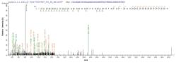 Based on the SEQUEST from database of E.coli host and target protein, the LC-MS/MS Analysis result of CSB-EP006193MO could indicate that this peptide derived from E.coli-expressed Mus musculus (Mouse) Ctsl.