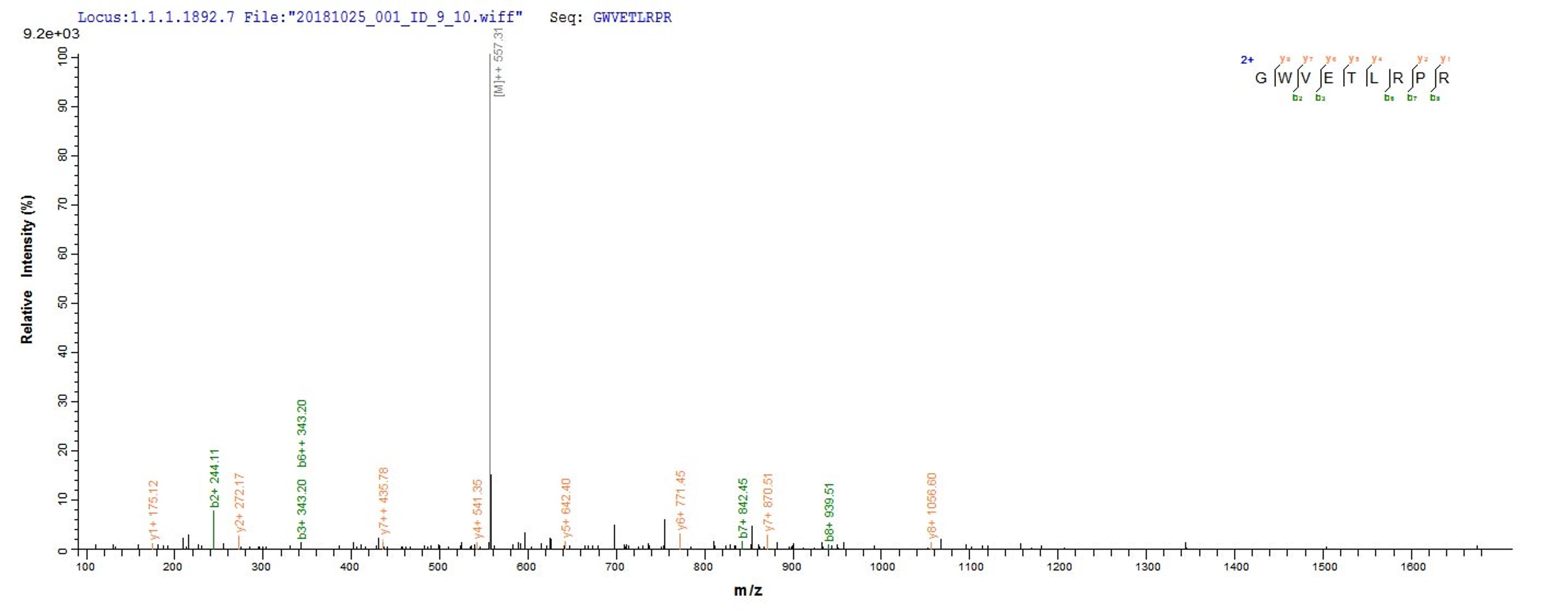 Based on the SEQUEST from database of E.coli host and target protein, the LC-MS/MS Analysis result of CSB-EP026136HU could indicate that this peptide derived from E.coli-expressed Homo sapiens (Human) WNT3A.