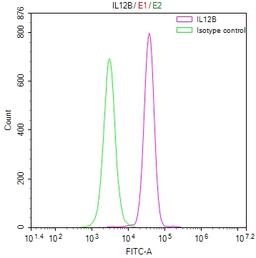 Overlay Peak curve showing A549 cells stained with CSB-RA895985A0HU (red line) at 1:50. The cells were fixed in 4% formaldehyde and permeated by 0.2% TritonX-100. Then 10% normal goat serum to block non-specific protein-protein interactions followed by the antibody (1µg/1*10<sup>6</sup>cells) for 45min at 4℃. The secondary antibody used was FITC-conjugated Goat Anti-rabbit IgG(H+L) at 1:200 dilution for 35min at 4℃.Control antibody (green line) was rabbit IgG (1µg/1*10<sup>6</sup>cells) used under the same conditions. Acquisition of >10,000 events was performed.