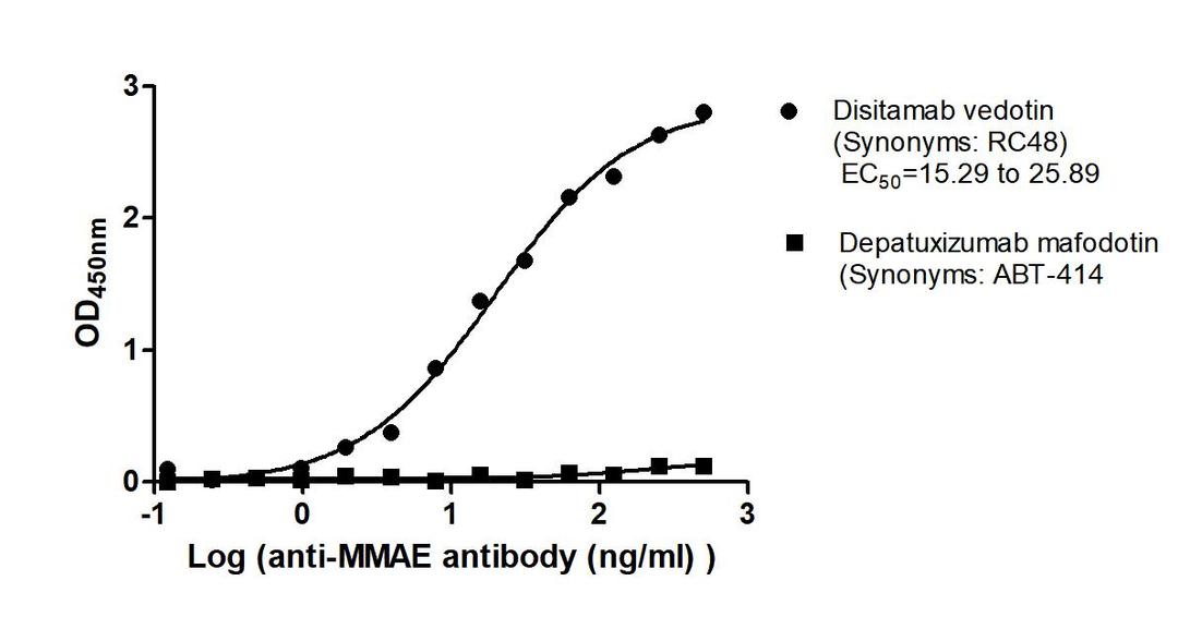 The Binding Activity of Disitamab vedotin (Synonyms: RC48) and Depatuxizumab mafodotin (Synonyms: ABT-414) with Anti-MMAE antibody. Activity: Measured by its binding ability in a functional ELISA. Immobilized Disitamab vedotin (Synonyms: RC48) and Depatuxizumab mafodotin (Synonyms: ABT-414) at 2 μg/mL can bind Anti-MMAE antibody, the EC<sub>50</sub> is 15.29 to 25.89 and no.