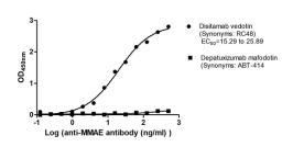 The Binding Activity of Disitamab vedotin (Synonyms: RC48) and Depatuxizumab mafodotin (Synonyms: ABT-414) with Anti-MMAE antibody. Activity: Measured by its binding ability in a functional ELISA. Immobilized Disitamab vedotin (Synonyms: RC48) and Depatuxizumab mafodotin (Synonyms: ABT-414) at 2 μg/mL can bind Anti-MMAE antibody, the EC<sub>50</sub> is 15.29 to 25.89 and no.