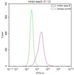 Overlay Peak curve showing A549 cells stained with CSB-RA990624A0HU (red line) at 1:50. The cells were fixed in 4% formaldehyde and permeated by 0.2% TritonX-100. Then 10% normal goat serum to block non-specific protein-protein interactions followed by the antibody (1µg/1*10<sup>6</sup>cells) for 45min at 4℃. The secondary antibody used was FITC-conjugated Goat Anti-rabbit IgG(H+L) at 1:200 dilution for 35min at 4℃.Control antibody (green line) was rabbit IgG (1µg/1*10<sup>6</sup>cells) used under the same conditions. Acquisition of >10,000 events was performed.