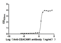 The Binding Activity of Human CEACAM1 with Anti-CEACAM1 recombinant antibody. Activity: Measured by its binding ability in a functional ELISA. Immobilized Human CEACAM1 at 2 μg/mL can bind Anti-CEACAM1 recombinant antibody(CSB-RA005157MA1HU). The EC<sub>50</sub> is 3.432 - 6.079 ng/mL.