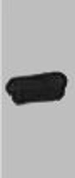 Western blot analysis of recombinant AmCyan protein, diluted at 1:5000.