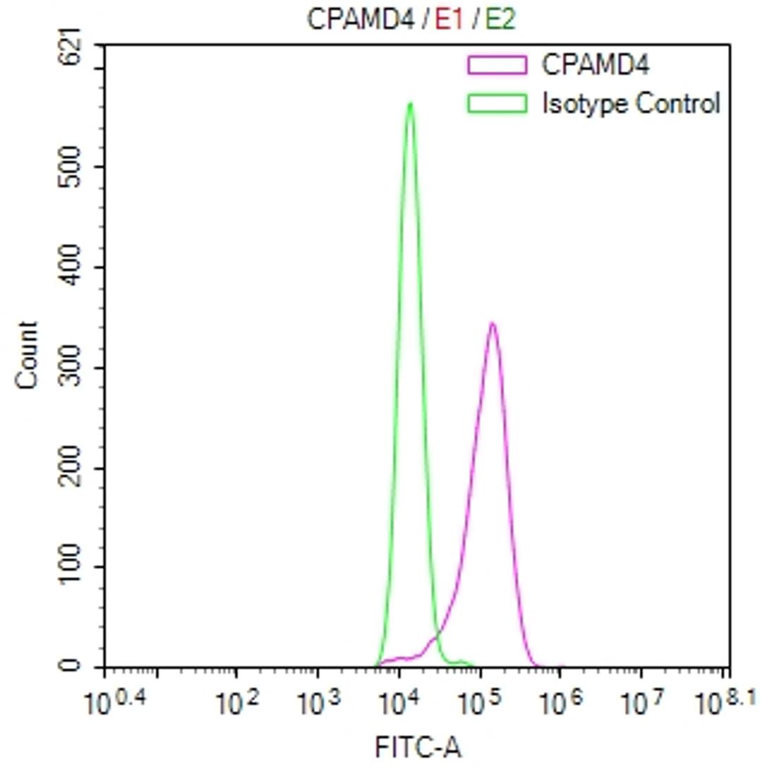 Overlay Peak curve showing Hela cells stained with CSB-RA003995MA1HU (red line) at 1:800. Then 10% normal goat serum was Incubated to block non-specific protein-protein interactions followed by the antibody (1µg/1*10<sup>6</sup>cells) for 45 min at 4°C. The secondary antibody used was FITC-conjugated Goat Anti-Mouse IgG(H+L) at 1/200 dilution for 35 min at 4°C. Isotype control antibody (green line) was mouse IgG1 (1µg/1*10<sup>6</sup>cells) used under the same conditions. Acquisition of >10, 021 events was performed.