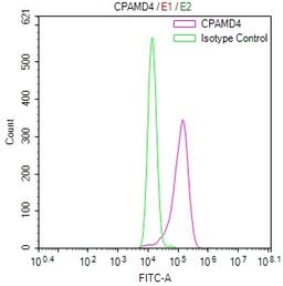 Overlay Peak curve showing Hela cells stained with CSB-RA003995MA1HU (red line) at 1:800. Then 10% normal goat serum was Incubated to block non-specific protein-protein interactions followed by the antibody (1µg/1*10<sup>6</sup>cells) for 45 min at 4°C. The secondary antibody used was FITC-conjugated Goat Anti-Mouse IgG(H+L) at 1/200 dilution for 35 min at 4°C. Isotype control antibody (green line) was mouse IgG1 (1µg/1*10<sup>6</sup>cells) used under the same conditions. Acquisition of >10, 021 events was performed.