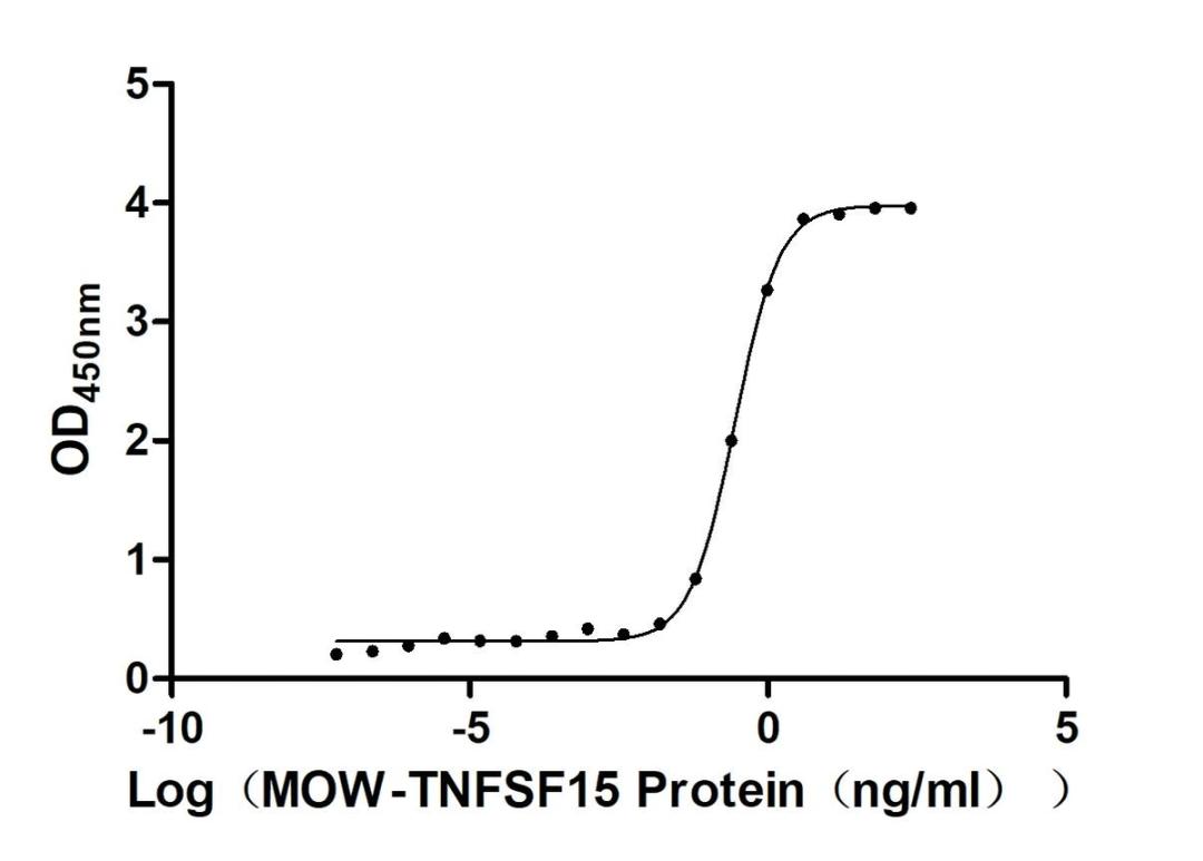 The Binding Activity of Biotinylated Macaca mulatta TNFSF15 with Anti-TNFSF15 recombinant antibody. Activity: Measured by its binding ability in a functional ELISA. Immobilized Anti-TNFSF15 recombinant antibody at 2 μg/mL can bind Biotinylated Macaca mulatta TNFSF15 (CSB-MP5305MOW-B). The EC<sub>50</sub> is 0.2589-0.3025 ng/mL.