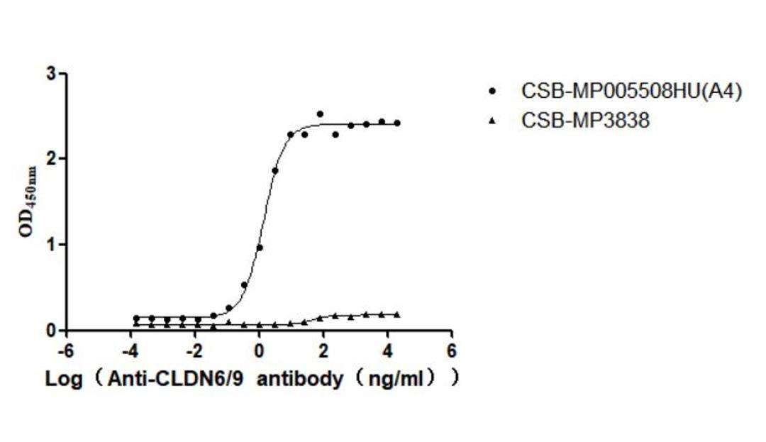 The Binding Activity of Human CLDN6 with Anti-CLDN6-9 recombinant antibody. Activity: Measured by its binding ability in a functional ELISA. Immobilized Human CLDN6 (CSB-MP005508HU(A4)) at 10 μg/mL can bind Anti-CLDN6-9 recombinant antibody. The EC<sub>50</sub> is 1.189-1.618 ng/mL. The VLPs (CSB-MP3838) is negative control.