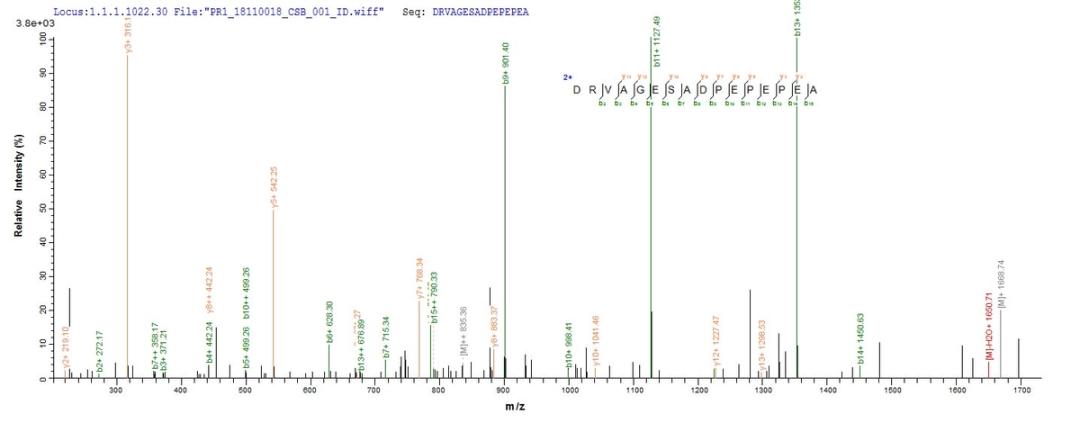 Based on the SEQUEST from database of Mammalian Cell host and target protein, the LC-MS/MS Analysis result of CSB-MP023446RA could indicate that this peptide derived from Mammalian Cell-expressed Rattus norvegicus (Rat) Tgfb1.