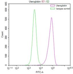 Overlay Peak curve showing A549 cells stained with CSB-RA614787A0HU (red line) at 1:50. The cells were fixed in 4% formaldehyde and permeated by 0.2% TritonX-100. Then 10% normal goat serum to block non-specific protein-protein interactions followed by the antibody (1µg/1*10<sup>6</sup>cells) for 45min at 4℃. The secondary antibody used was FITC-conjugated Goat Anti-rabbit IgG(H+L) at 1:200 dilution for 35min at 4℃.Control antibody (green line) was rabbit IgG (1µg/1*10<sup>6</sup>cells) used under the same conditions. Acquisition of >10,000 events was performed.