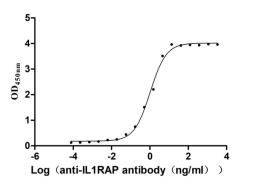 The Binding Activity of Macaca fascicularis IL1RAP with Anti-IL1RAP recombinant antibody. Activity: Measured by its binding ability in a functional ELISA. Immobilized Macaca fascicularis IL1RAP (CSB-MP5268MOV) at 2 μg/mL can bind Anti-IL1RAP recombinant antibody. The EC<sub>50</sub> is 0.9099-1.181 ng/mL.