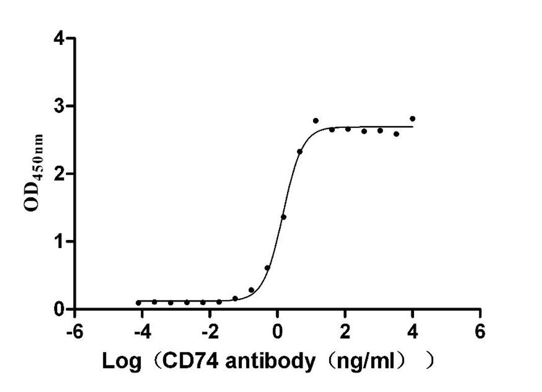 The Binding Activity of Human CD74 with Anti-CD74 recombinant antibody. Activity: Measured by its binding ability in a functional ELISA. Immobilized Human CD74 (CSB-MP004956HU1(F2)) at 2 μg/mL can bind Anti-CD74 recombinant antibody, the EC<sub>50</sub> is 1.317-1.646 ng/mL.