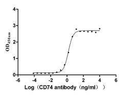The Binding Activity of Human CD74 with Anti-CD74 recombinant antibody. Activity: Measured by its binding ability in a functional ELISA. Immobilized Human CD74 (CSB-MP004956HU1(F2)) at 2 μg/mL can bind Anti-CD74 recombinant antibody, the EC<sub>50</sub> is 1.317-1.646 ng/mL.