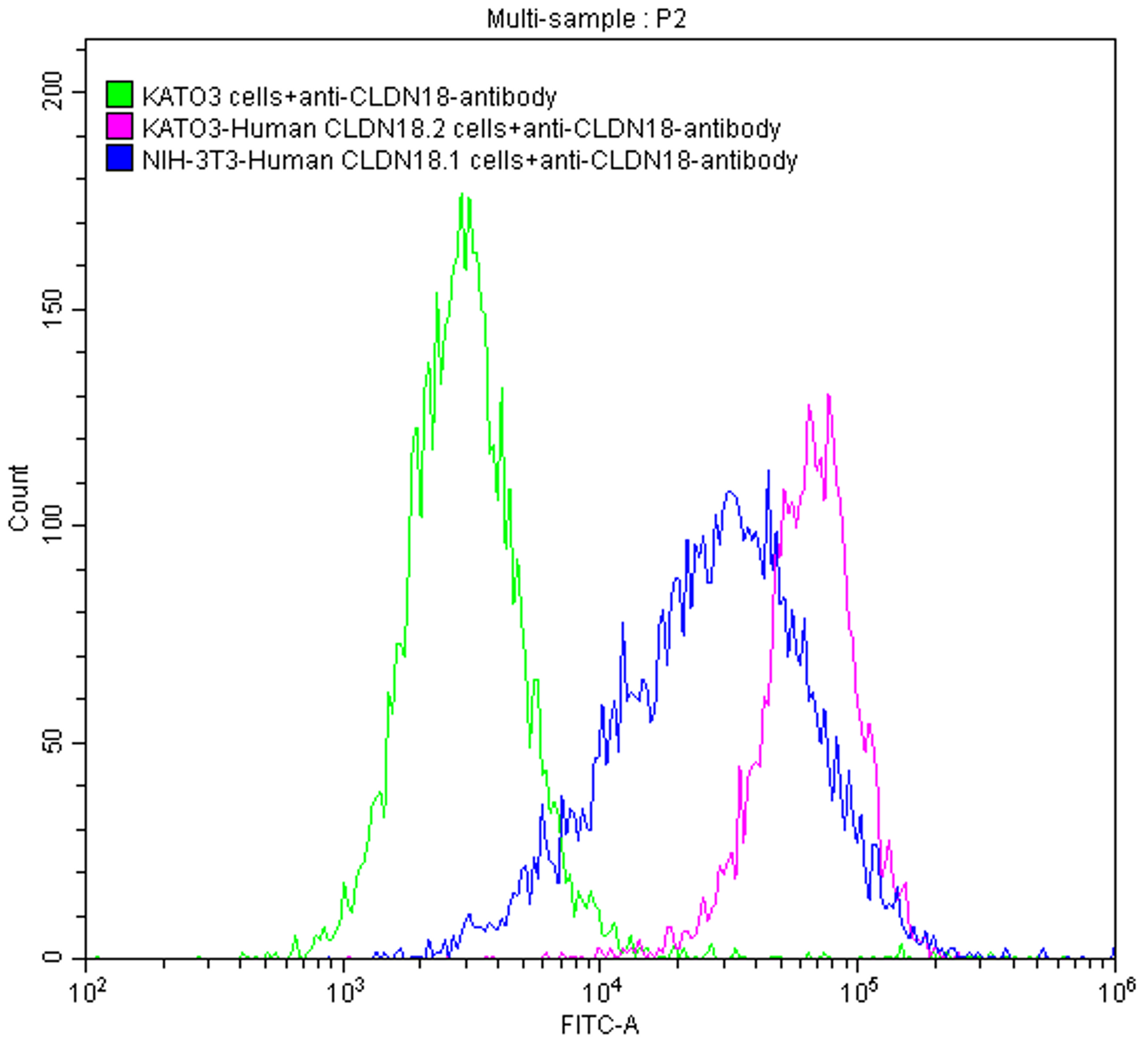 Untransfected KATO3 cells (green line), transfected Human CLDN18.2 KATO3 stable cells (red line) and transfected Human CLDN18.1 NIH-3T3 stable cells (blue line) were stained with anti-CLDN18.2 antibody (2µg/1*10<sup>6</sup> cells), washed and then followed by FITC-conjugated anti-Human IgG Fc antibody and analyzed with flow cytometry.