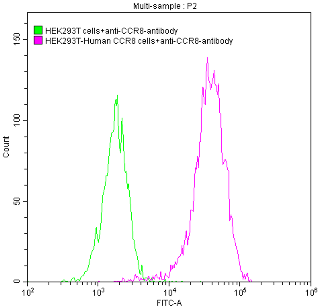 Untransfected HEK293T cells (green line) and transfected Human CCR8 HEK293T stable cells (red line) were stained with anti-CCR8 antibody (2µg/1*10<sup>6</sup> cells), washed and then followed by FITC-conjugated anti-Human IgG Fc antibody and analyzed with flow cytometry.