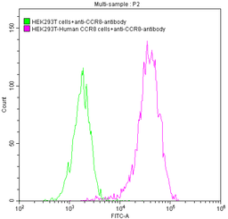 Untransfected HEK293T cells (green line) and transfected Human CCR8 HEK293T stable cells (red line) were stained with anti-CCR8 antibody (2µg/1*10<sup>6</sup> cells), washed and then followed by FITC-conjugated anti-Human IgG Fc antibody and analyzed with flow cytometry.