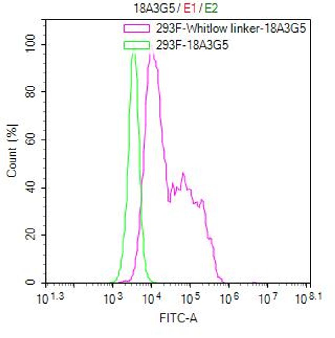 Untransfected HEK-293F cells (green line) and transfected scFv-based Anti-CD19 CAR containing a Whitlow/218 linker stable cells (red line) were stained with anti-Whitlow linker FITC-conjugated antibody (2µg/1*10<sup>6</sup>cells).