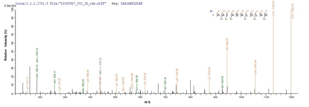Based on the SEQUEST from database of E.coli host and target protein, the LC-MS/MS Analysis result of CSB-EP622514HU could indicate that this peptide derived from E.coli-expressed Homo sapiens (Human) POU4F2.