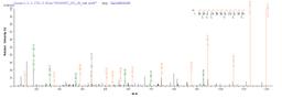 Based on the SEQUEST from database of E.coli host and target protein, the LC-MS/MS Analysis result of CSB-EP622514HU could indicate that this peptide derived from E.coli-expressed Homo sapiens (Human) POU4F2.