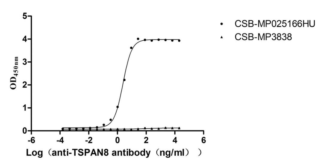 The Binding Activity of TSPAN8 with Anti-TSPAN8 recombinant antibody. Activity: Measured by its binding ability in a functional ELISA. Immobilized Human TSPAN8  (CSB-MP025166HU) at 5 μg/mL can bind Anti-TSPAN8 recombinant antibody. The EC<sub>50</sub> is 2.261-2.623 ng/mL.The VLPs (CSB-MP3838) is negative control.