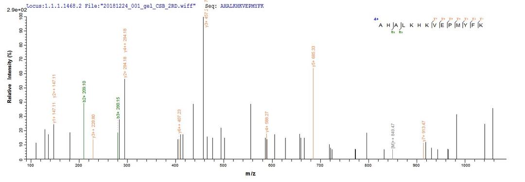 Based on the SEQUEST from database of E.coli host and target protein, the LC-MS/MS Analysis result of CSB-EP006376RA could indicate that this peptide derived from E.coli-expressed Rattus norvegicus (Rat) Cygb.