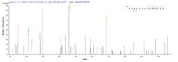 Based on the SEQUEST from database of E.coli host and target protein, the LC-MS/MS Analysis result of CSB-EP006376RA could indicate that this peptide derived from E.coli-expressed Rattus norvegicus (Rat) Cygb.