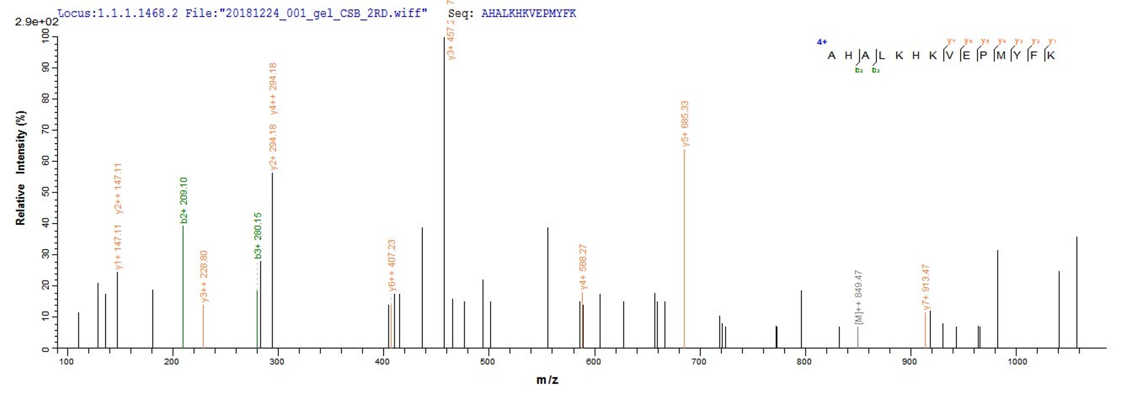 Based on the SEQUEST from database of E.coli host and target protein, the LC-MS/MS Analysis result of CSB-EP006376RA could indicate that this peptide derived from E.coli-expressed Rattus norvegicus (Rat) Cygb.