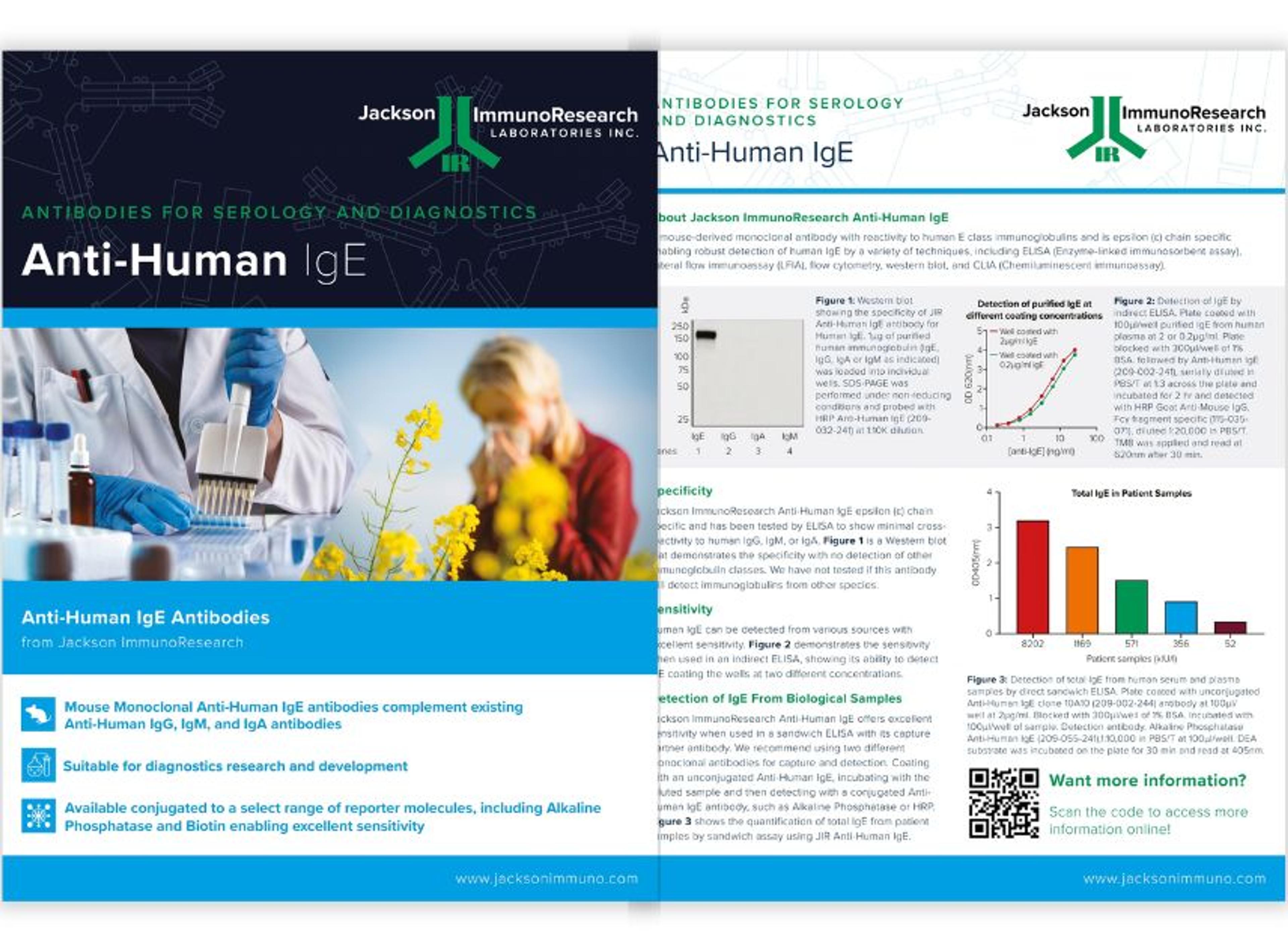 Antibodies for serology and diagnostics Anti-human IgE