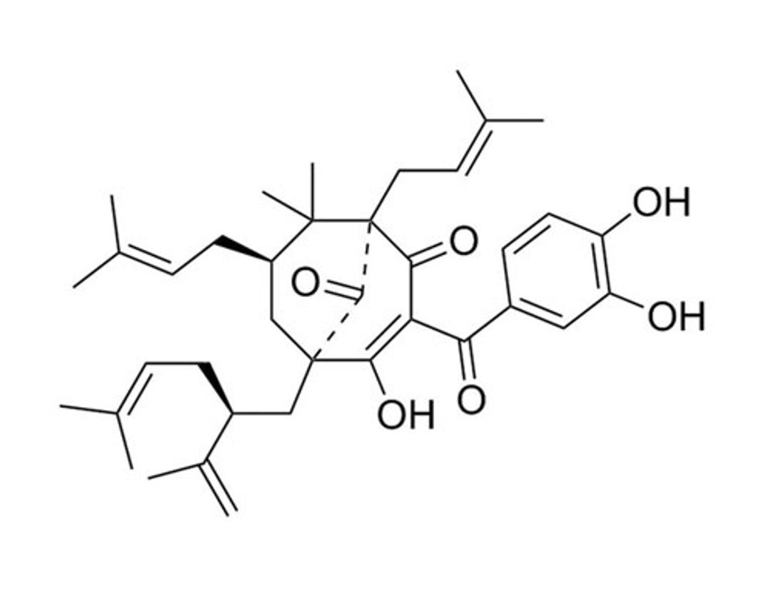 Garcinol