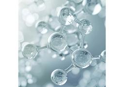 stable isotope labeled amino acids